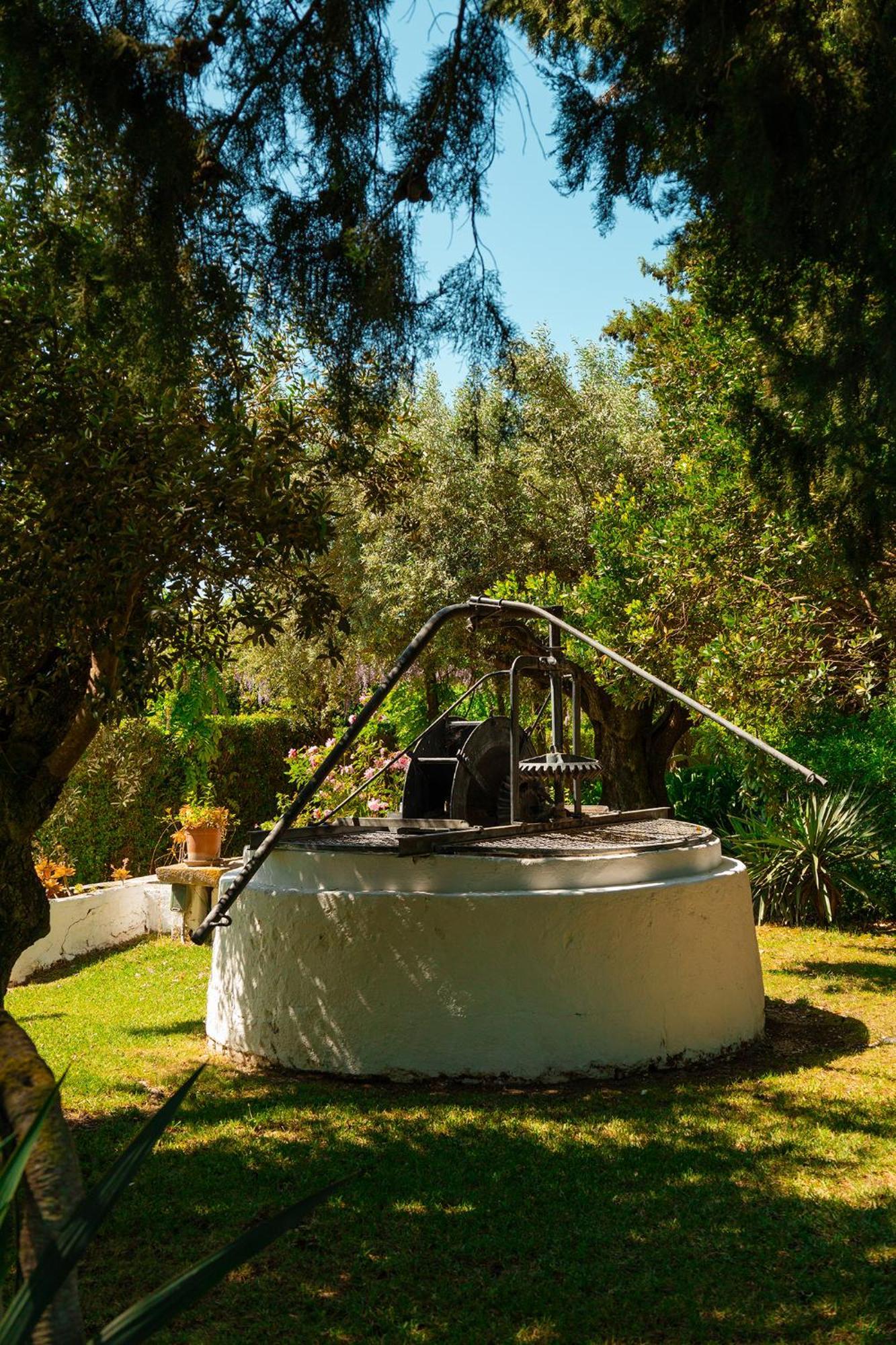 トマール Casa Da Avo Genovevaゲストハウス エクステリア 写真